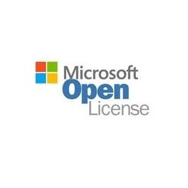 Open gobierno windows server estandar 2019 16 core lic nl sngl olp...