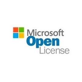 Open business visio std 2019 sngl olp nl