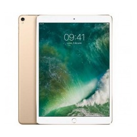 iPad Pro Apple MP6J2CL/A Wi-Fi 256Gb LED 12.9" Oro
